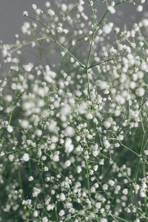 Red rose flowers bouquet on black stone background Valentine's day greeting card Copy space Flat lay